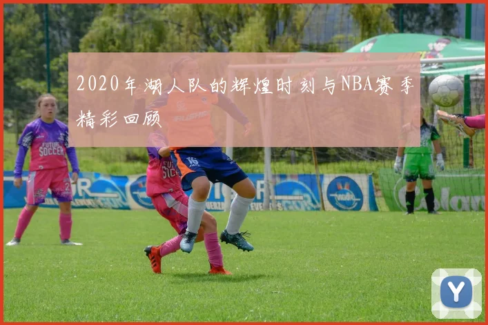 2020年湖人队的辉煌时刻与NBA赛季精彩回顾