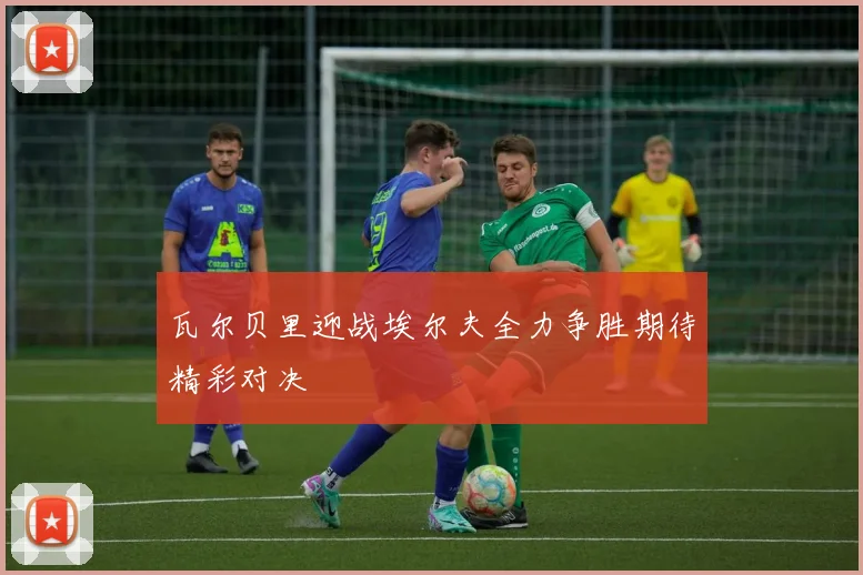 瓦尔贝里迎战埃尔夫全力争胜期待精彩对决